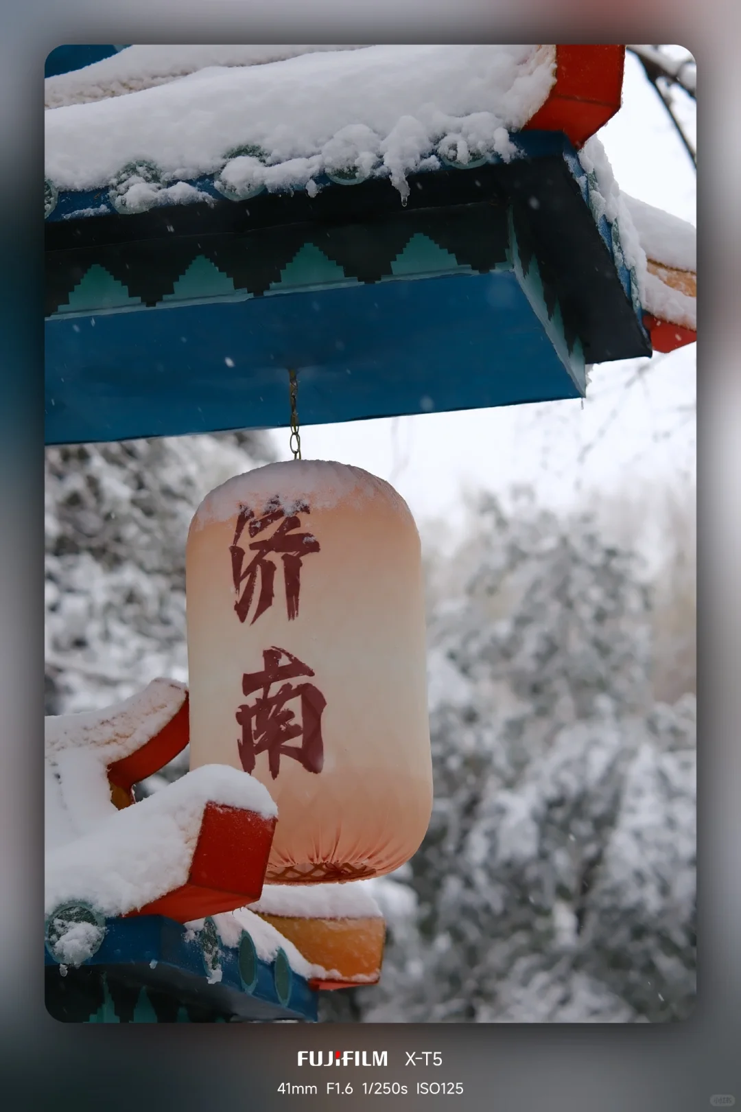 暴雪中的趵突泉公园