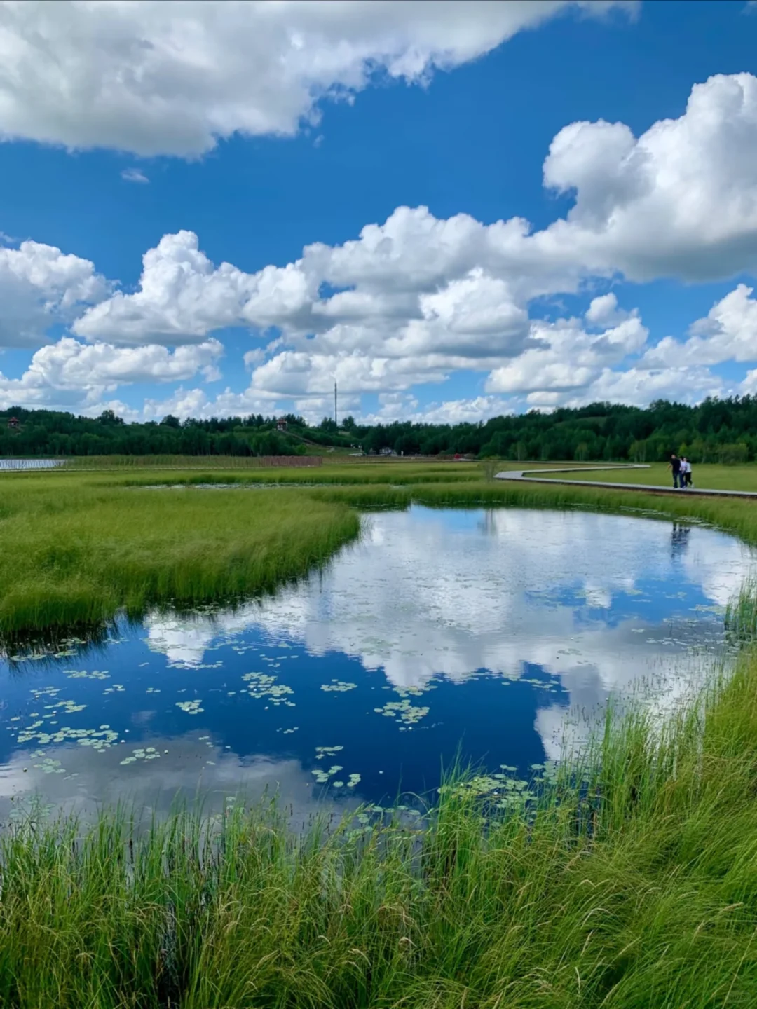 迄今为止，我去过国内最美的8个的草原