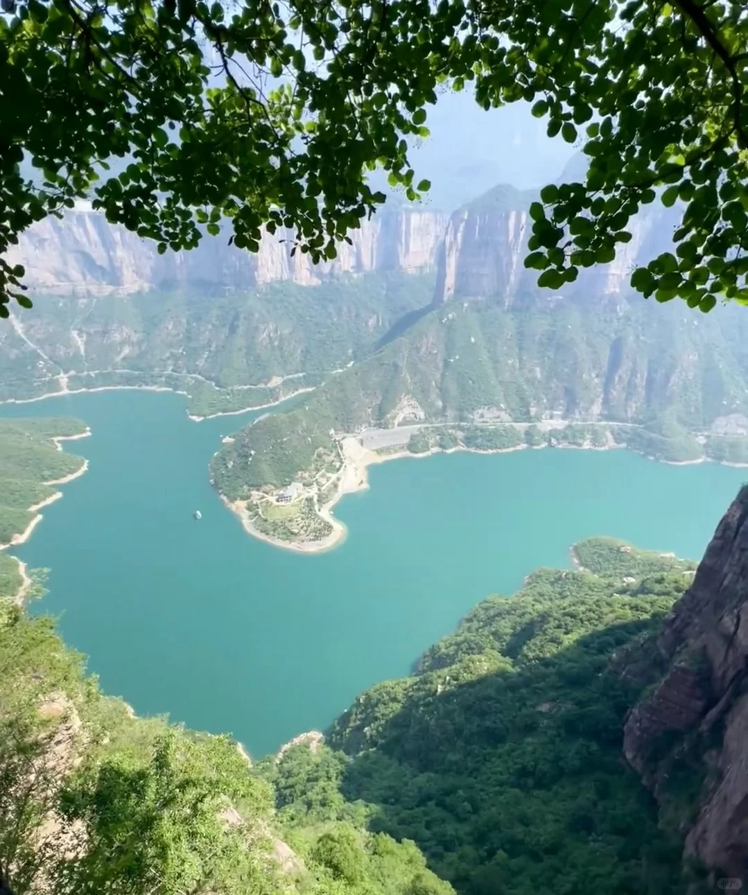 《国家地理》诚不欺我❗️