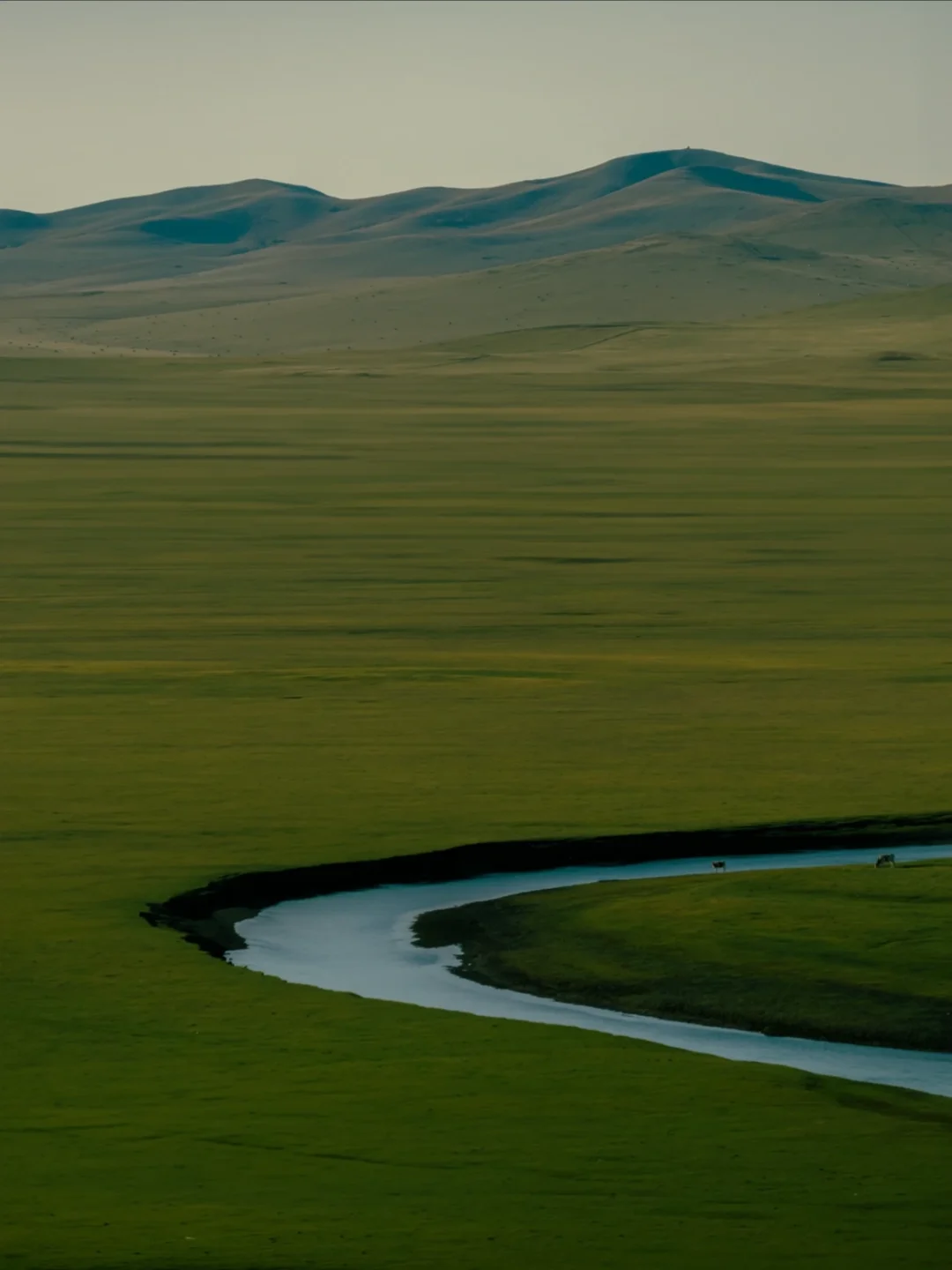 迄今为止，我去过国内最美的8个的草原