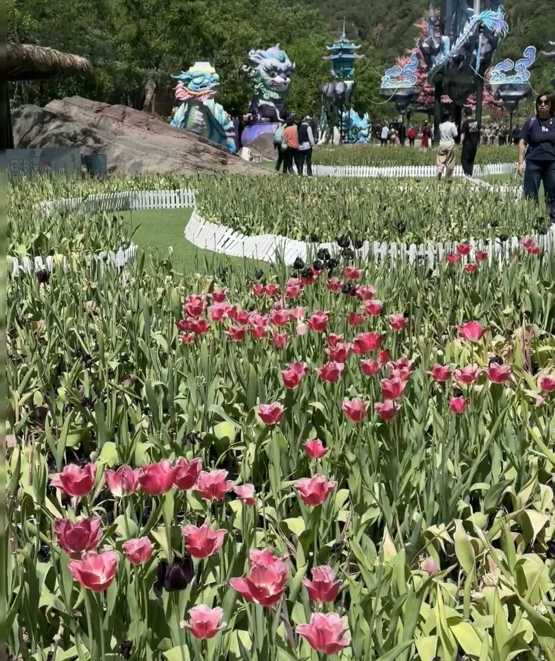 《国家地理》诚不欺我❗️