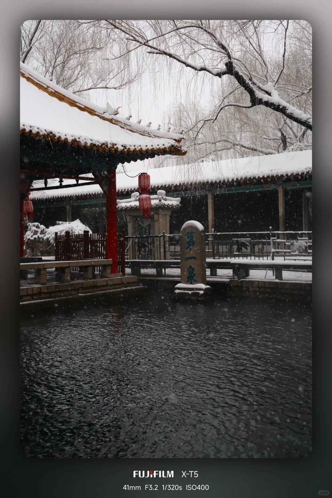 暴雪中的趵突泉公园