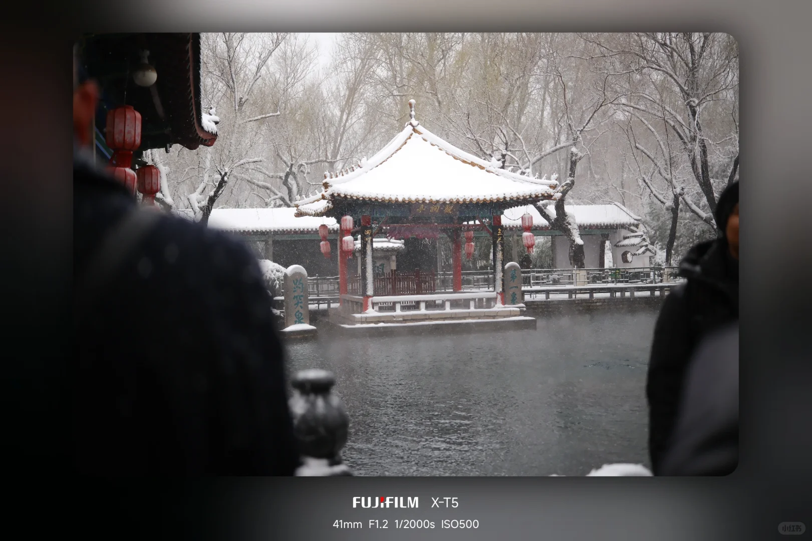 暴雪中的趵突泉公园