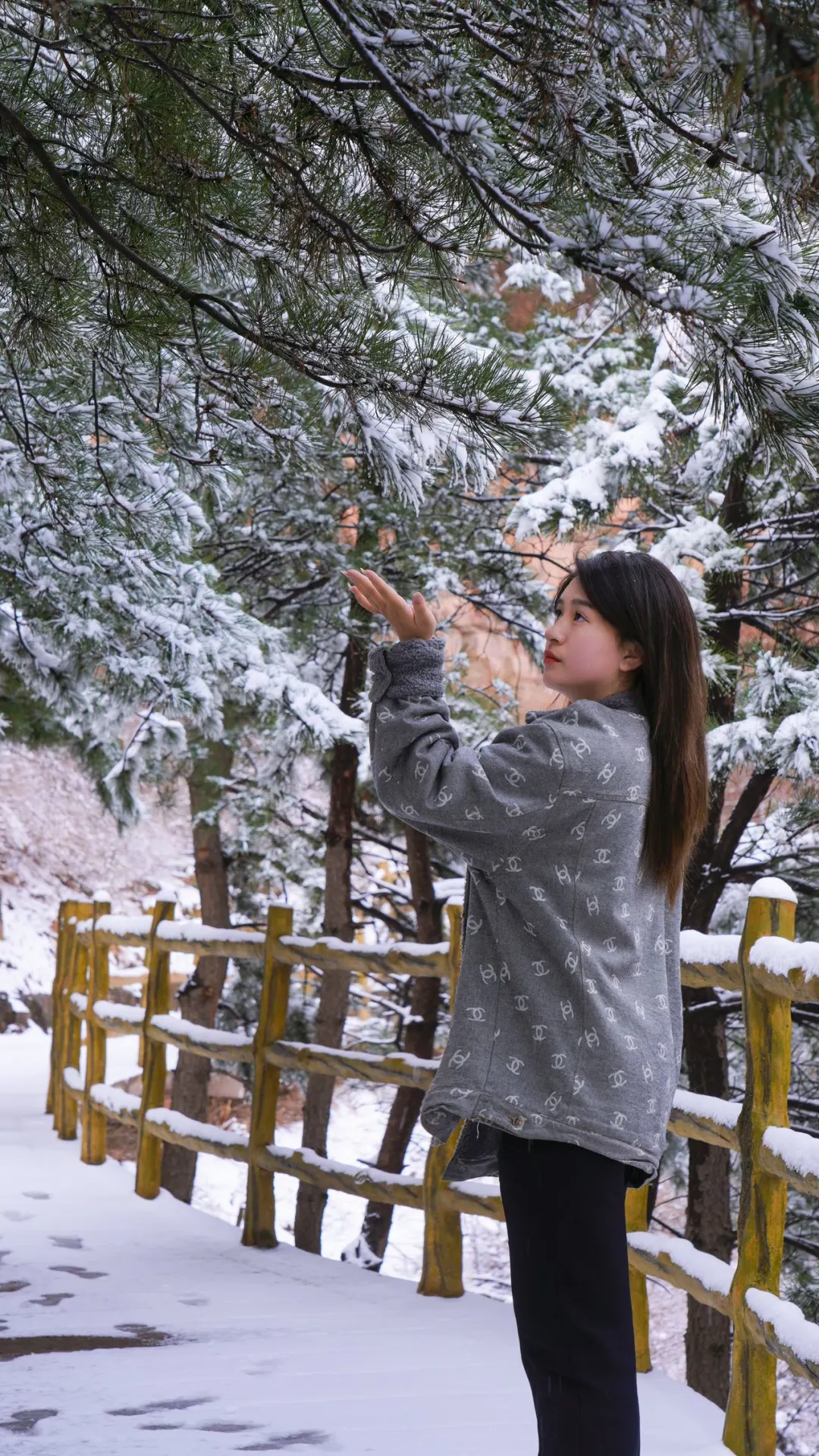 （坐标保定）新年周边游👉这里超适合！