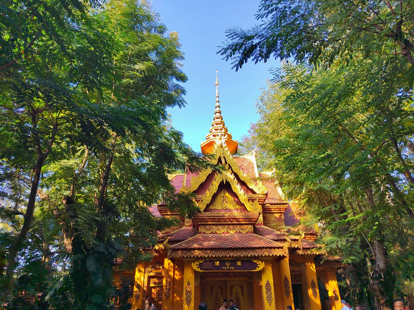 西双版纳·曼听公园(第一天行程)