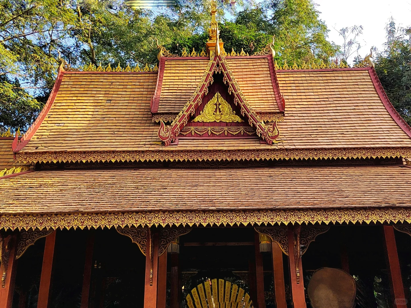 西双版纳·曼听公园(第一天行程)