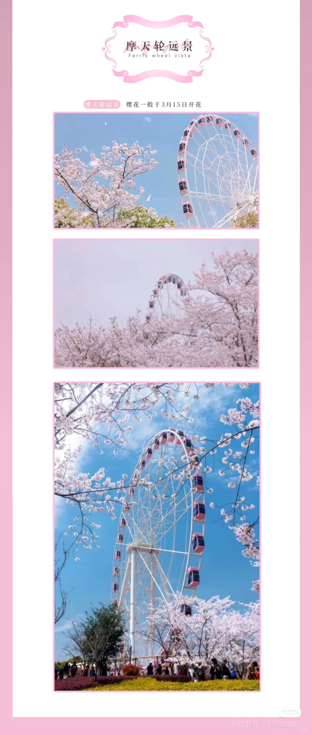 我的天哪！！？