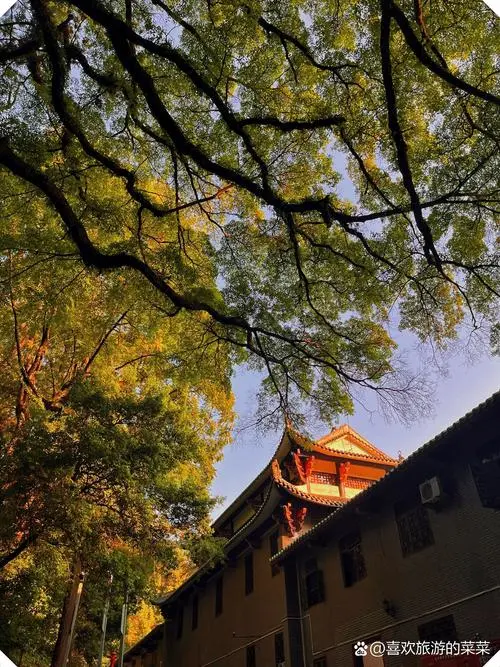 韶关特种兵一日游💰人均300超绝攻略