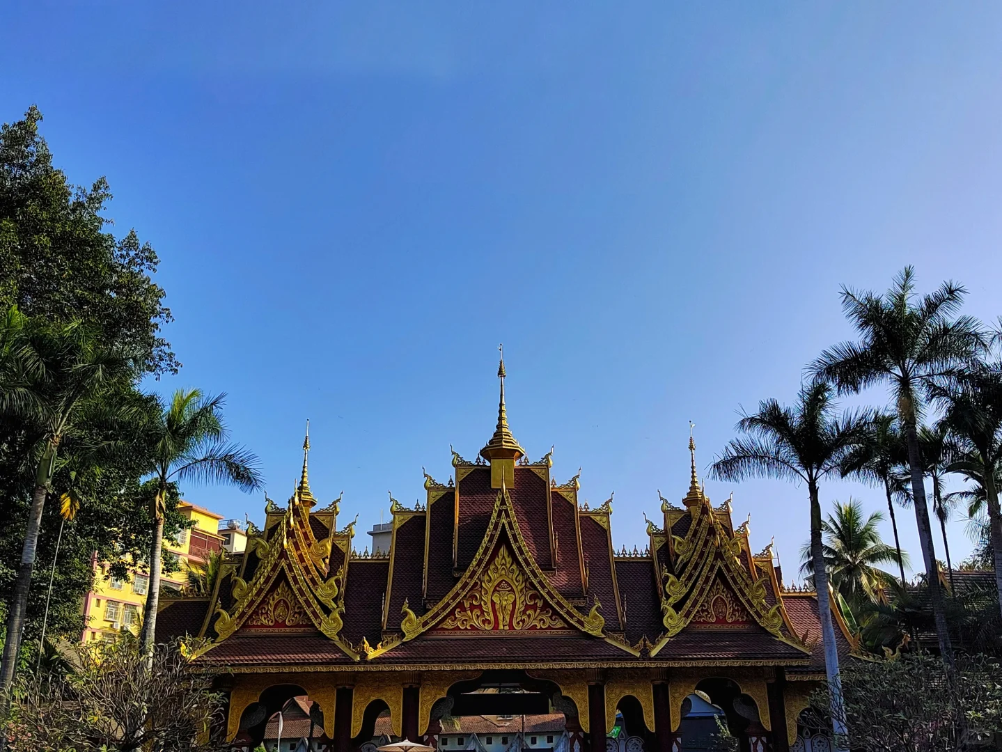 西双版纳·曼听公园(第一天行程)