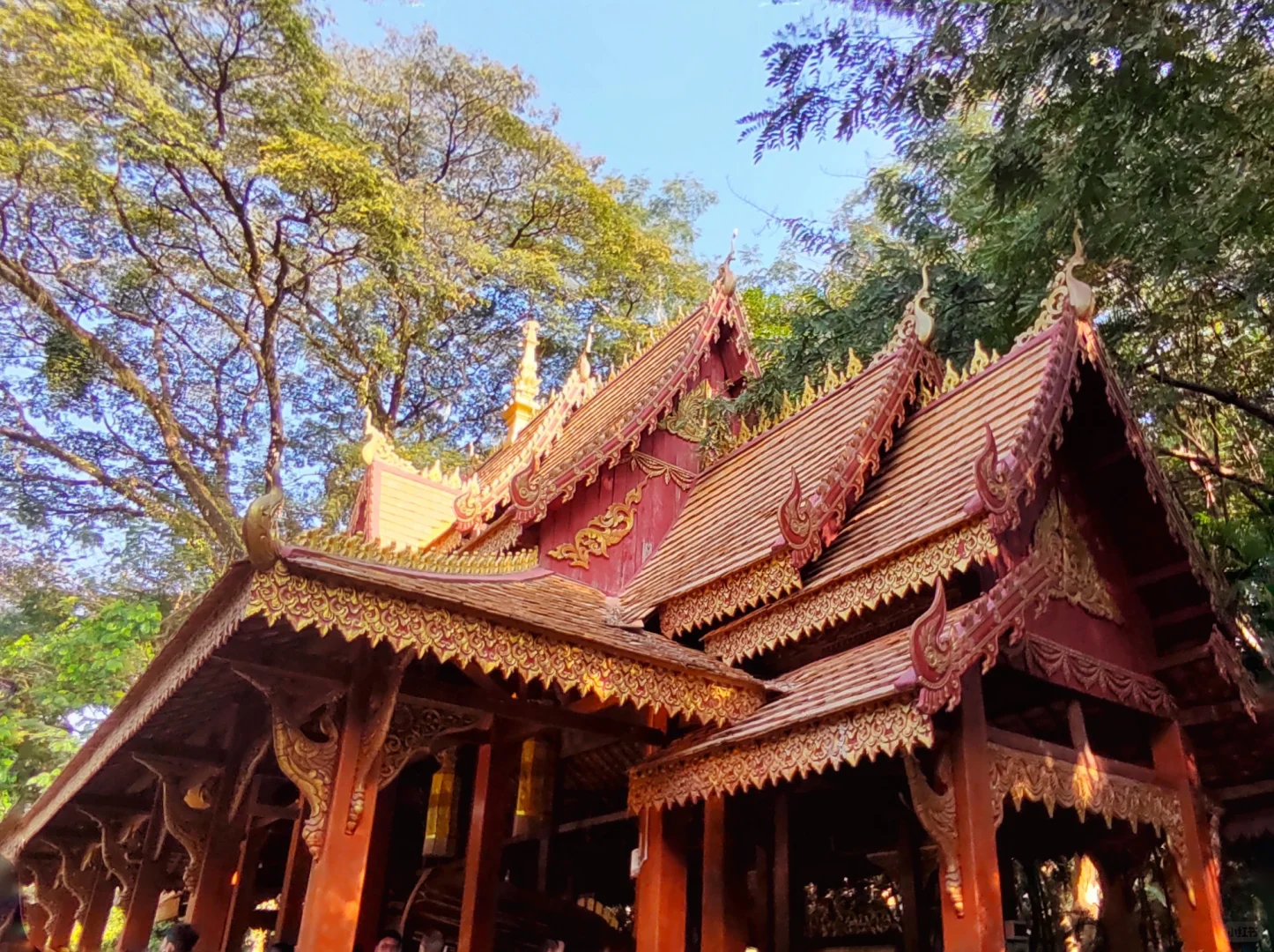 西双版纳·曼听公园(第一天行程)