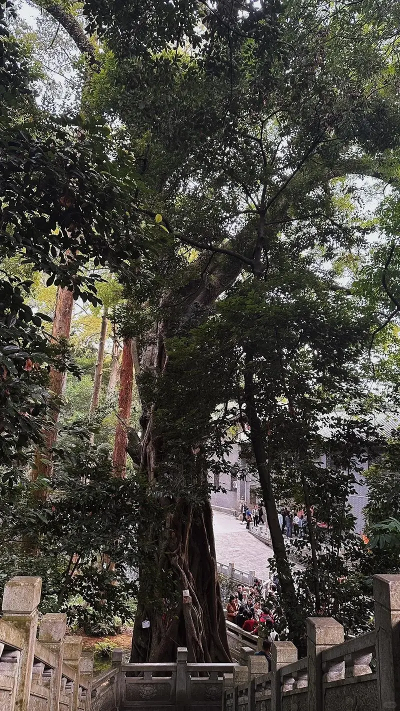 韶关特种兵一日游💰人均300超绝攻略