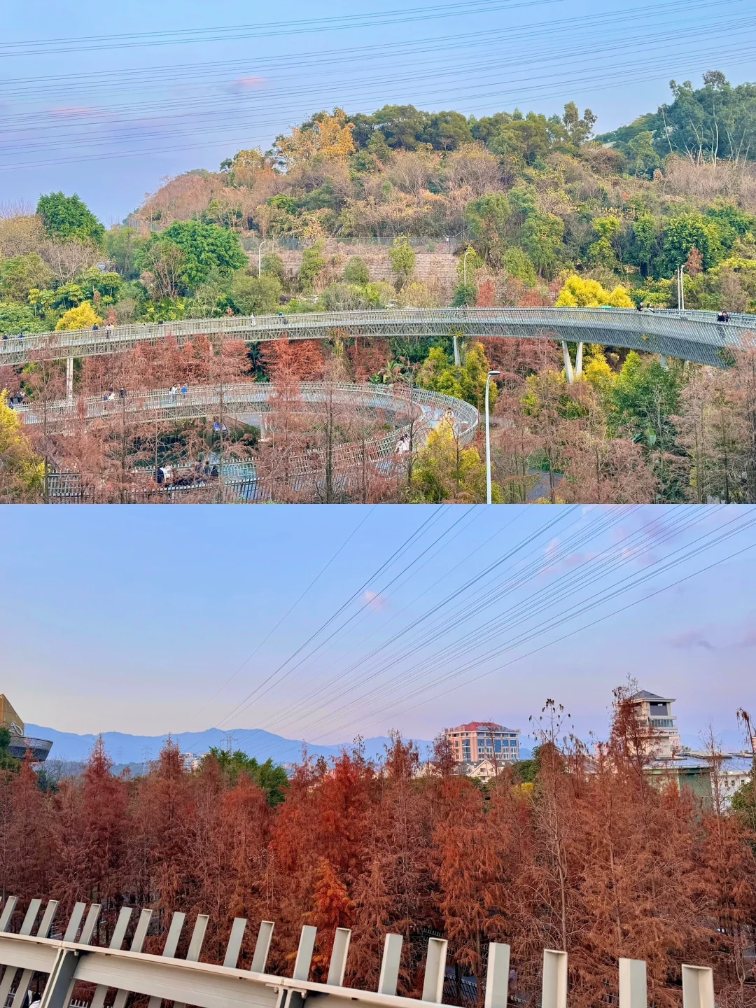 我宣布！！这才是福州蕞舒服的Citywalk路线🥹