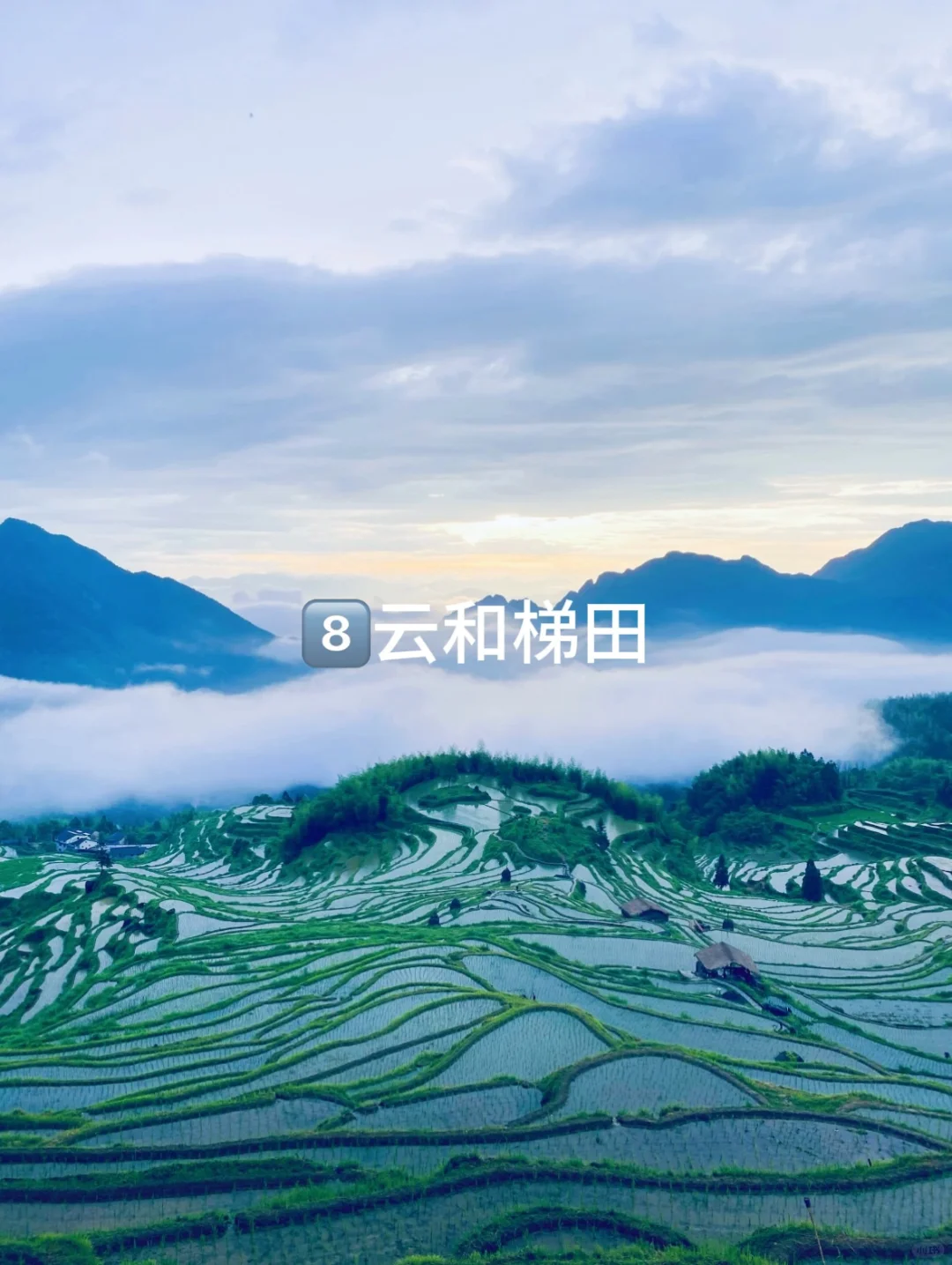 2月底到4月江浙沪周边的9个绝佳去处👍