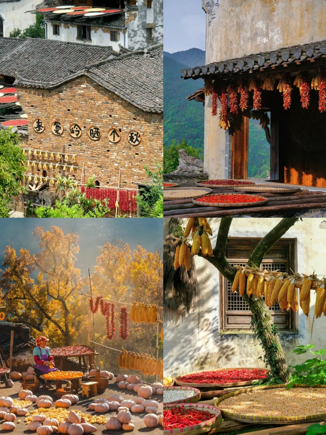 直到去一次婺源篁岭，才真正见识人间仙境啊