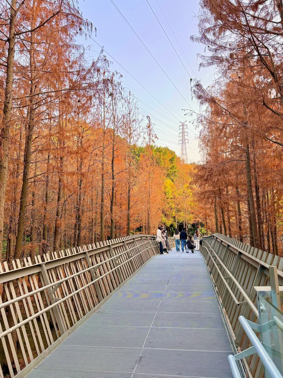 我宣布！！这才是福州蕞舒服的Citywalk路线🥹