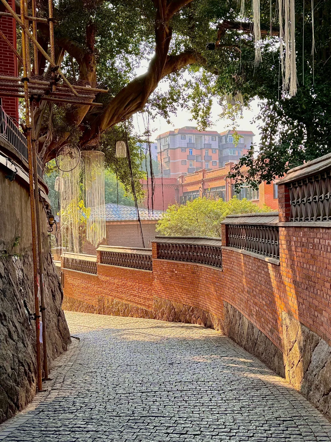 我宣布！！这才是福州蕞舒服的Citywalk路线🥹