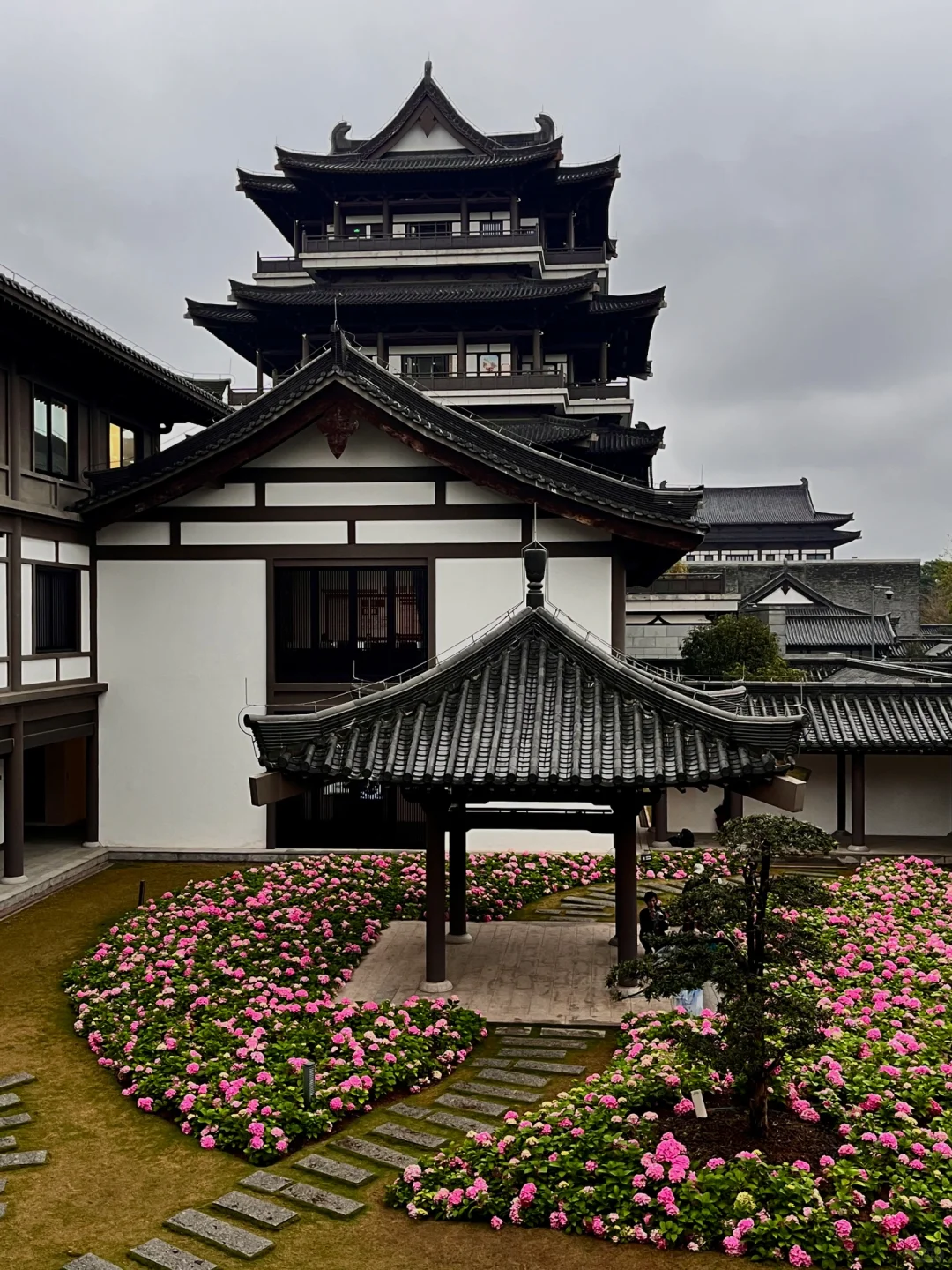 3.5实况！广州文化馆绣球花好美好美啊🥹……