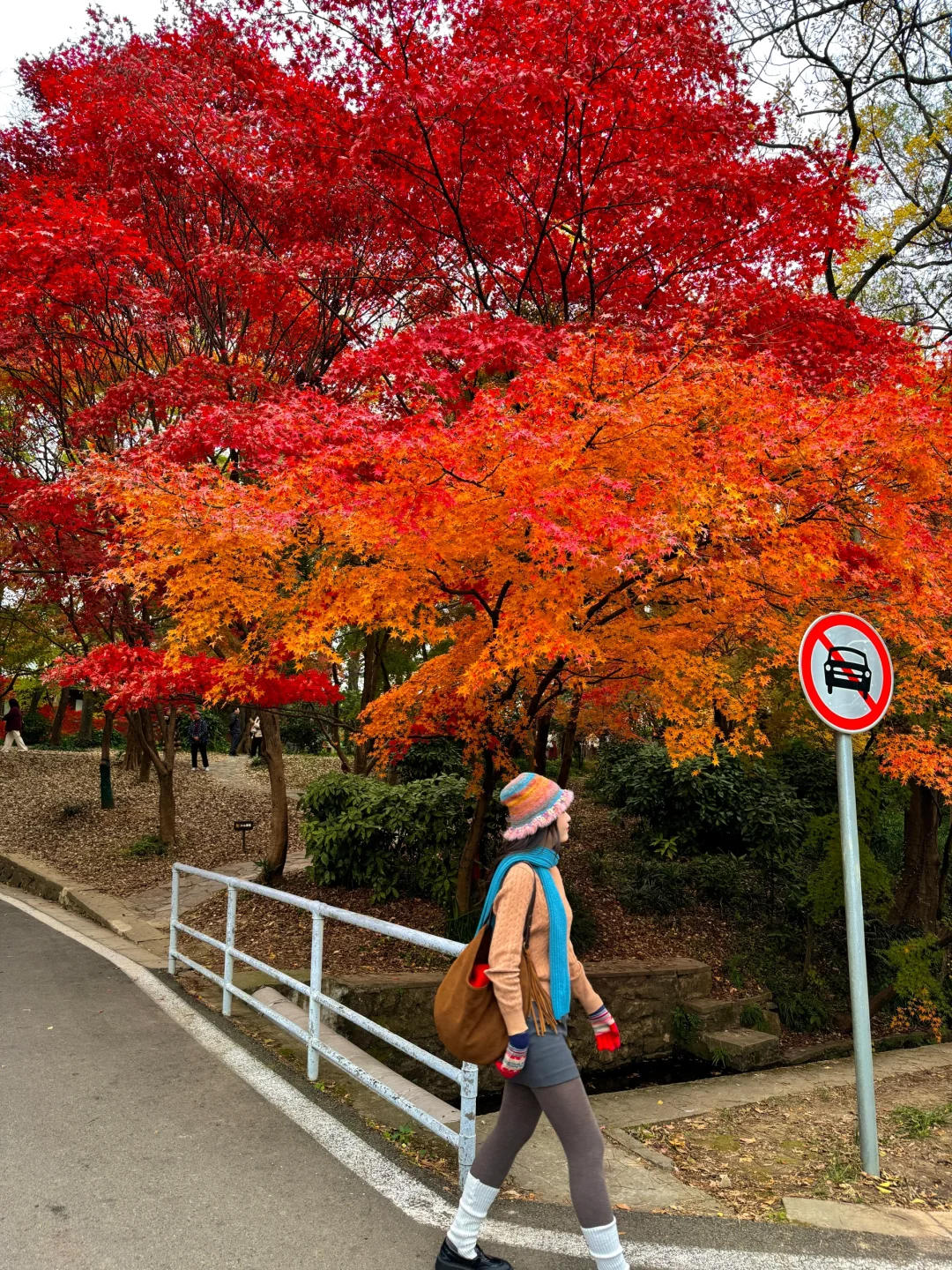 为了这1️⃣4️⃣张图,我特意来了趟南京