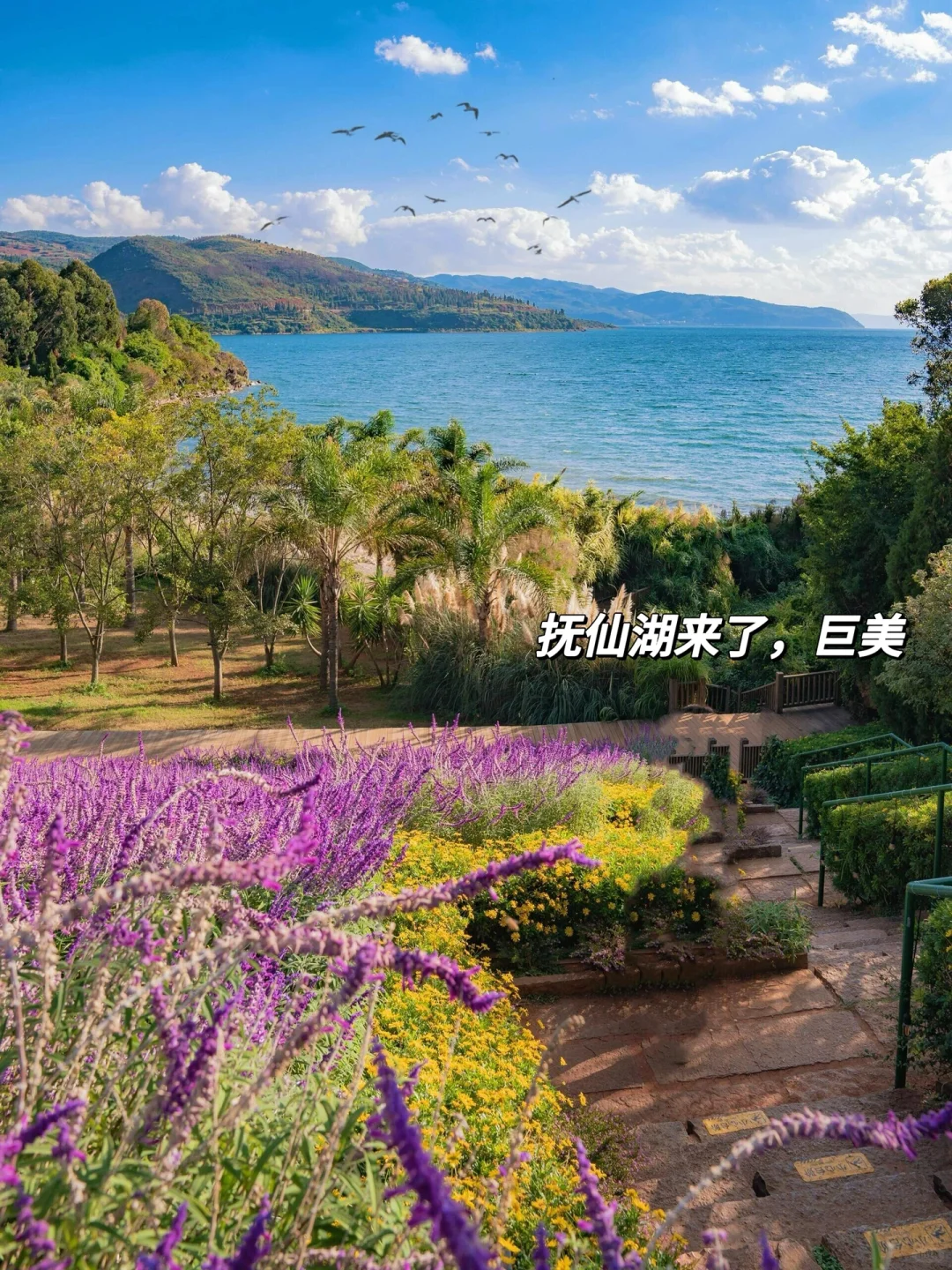 接下来2-4月云南弥勒+普者黑:淡季天花板!