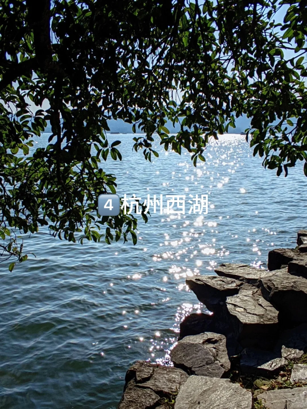 2月底到4月江浙沪周边的9个绝佳去处👍