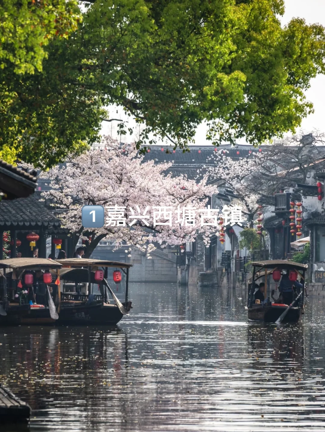 2月底到4月江浙沪周边的9个绝佳去处👍