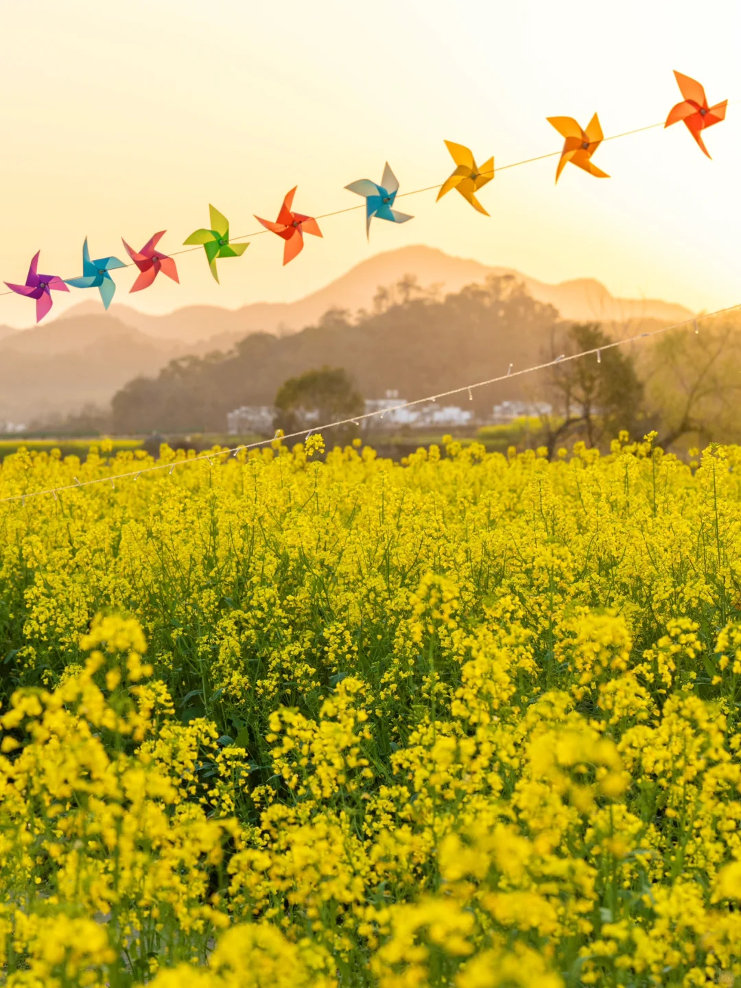 “后来我逢人便说三月的婺源有多浪漫🌼～”