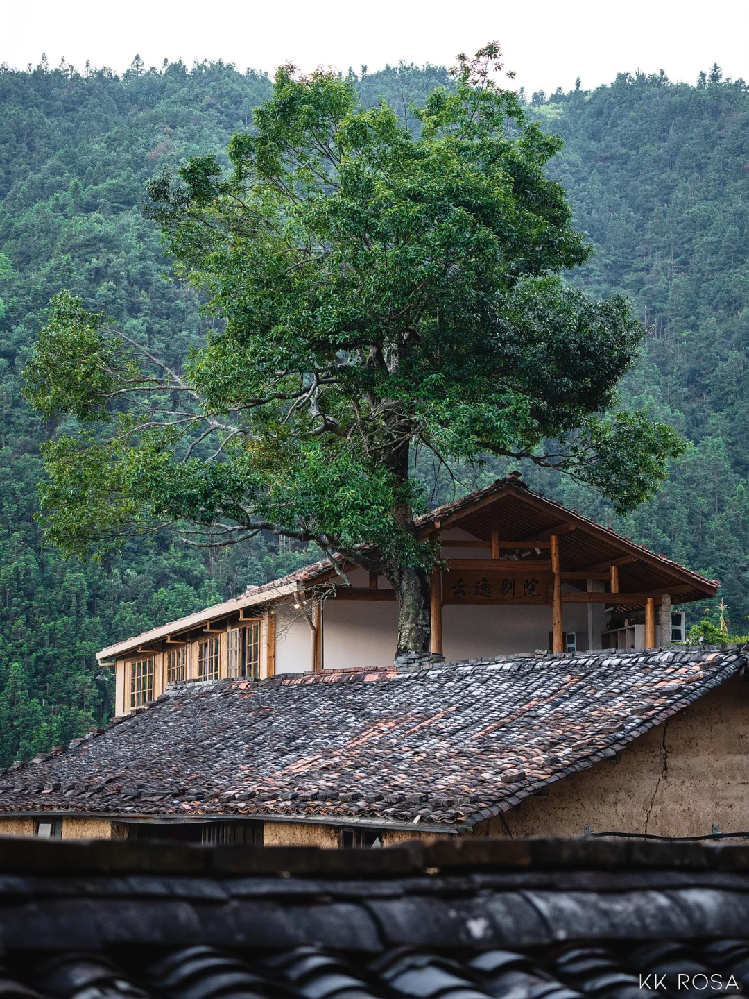 📍丽水|江南蕞后的秘境4天3晚保姆级攻略‼️