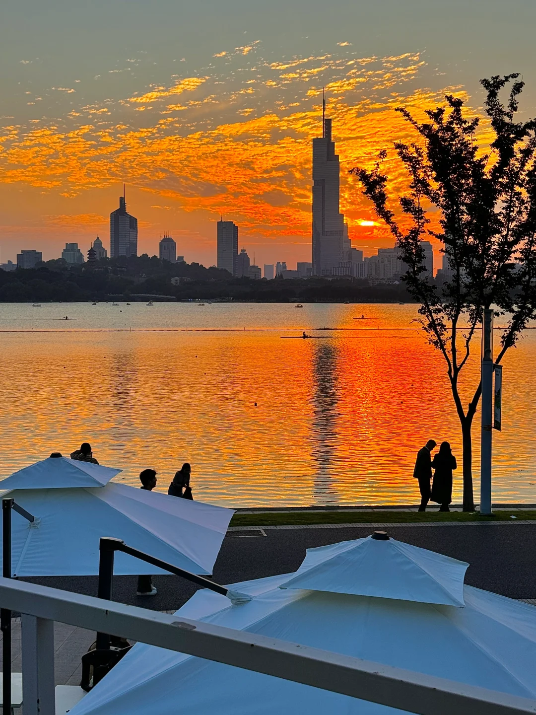 为了这1️⃣4️⃣张图,我特意来了趟南京