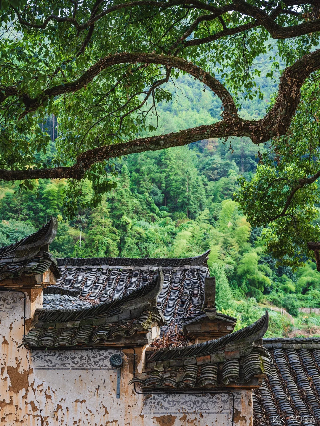 📍丽水|江南蕞后的秘境4天3晚保姆级攻略‼️