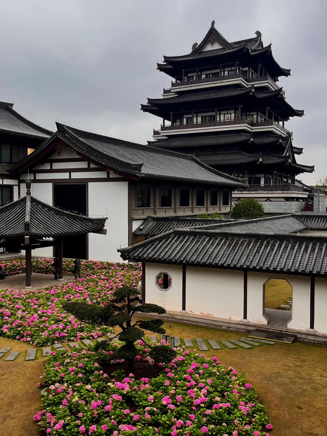 3.5实况！广州文化馆绣球花好美好美啊🥹……