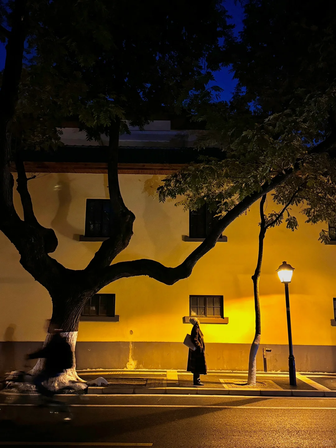 为了这1️⃣4️⃣张图,我特意来了趟南京