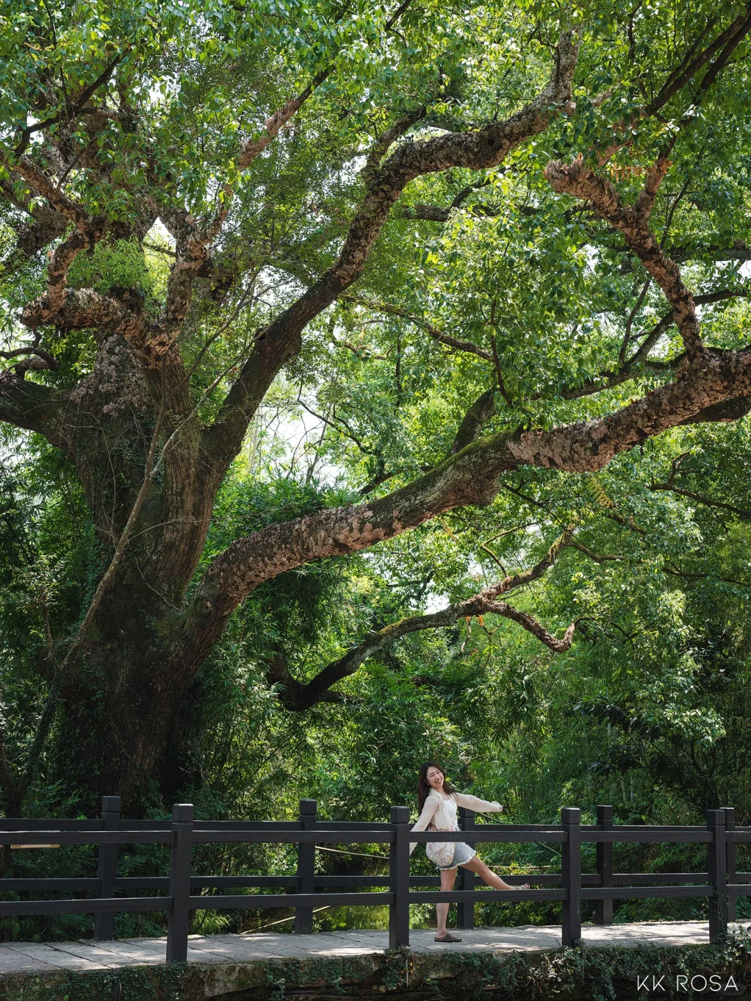 📍丽水|江南蕞后的秘境4天3晚保姆级攻略‼️