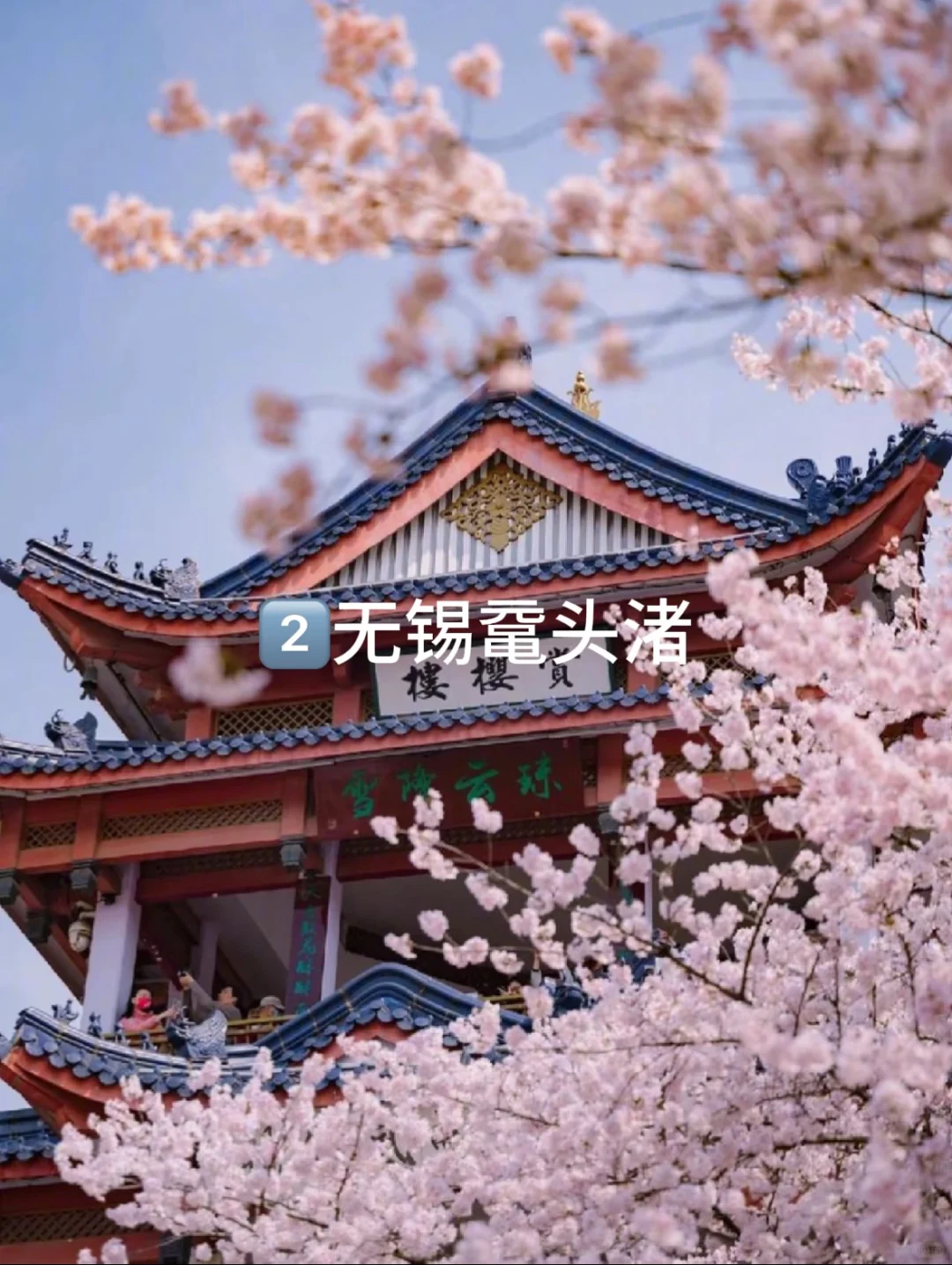 2月底到4月江浙沪周边的9个绝佳去处👍