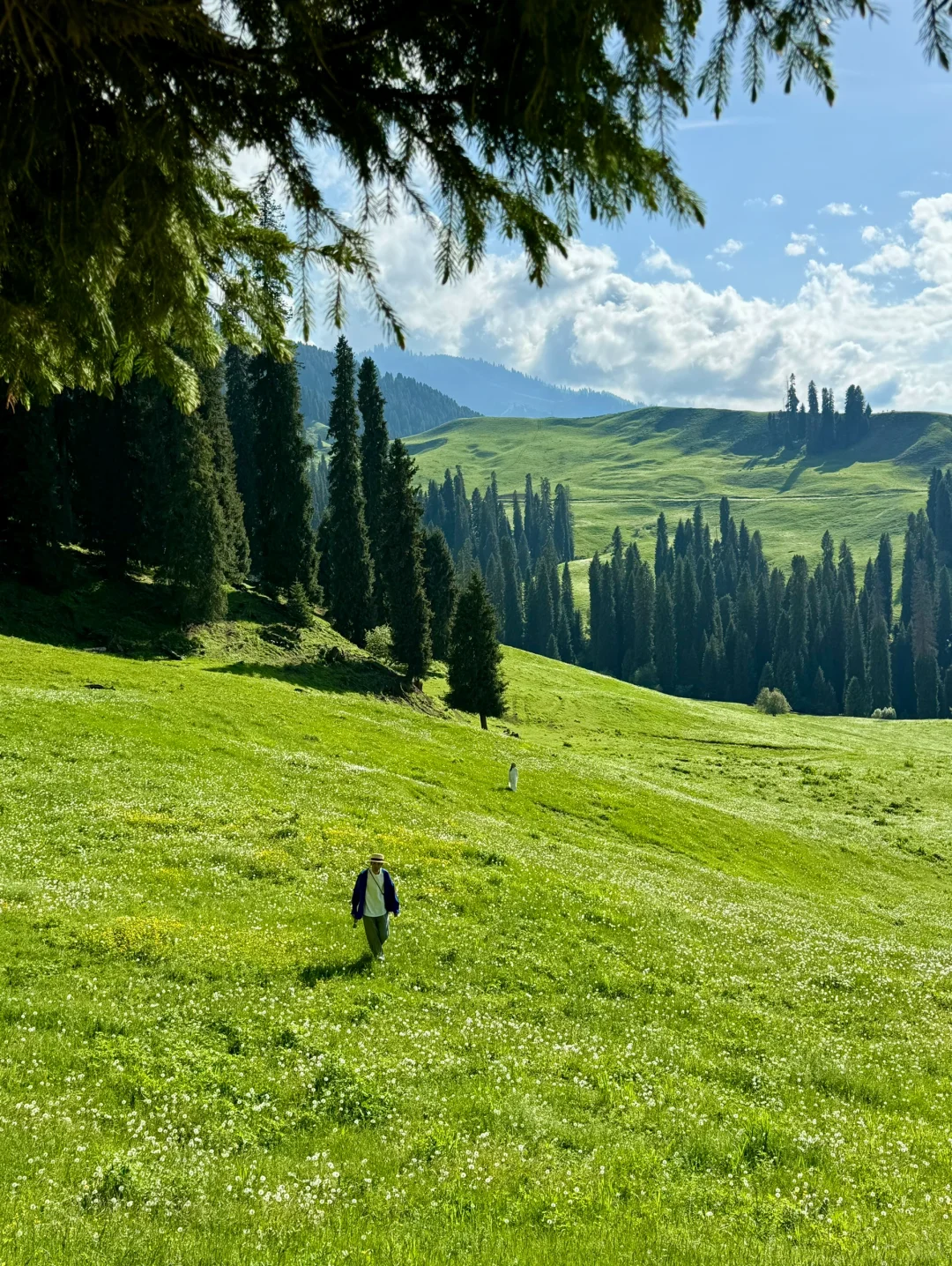 五月的新疆，每一帧都是童话世界！！！