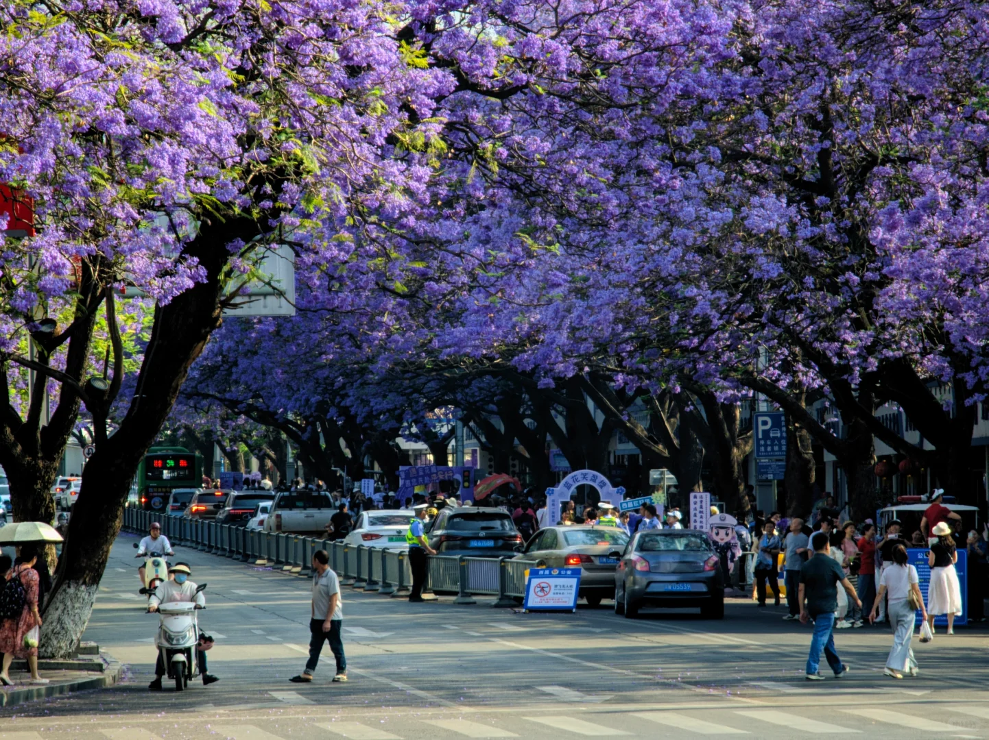 可能是最适合四月的小众旅游城市