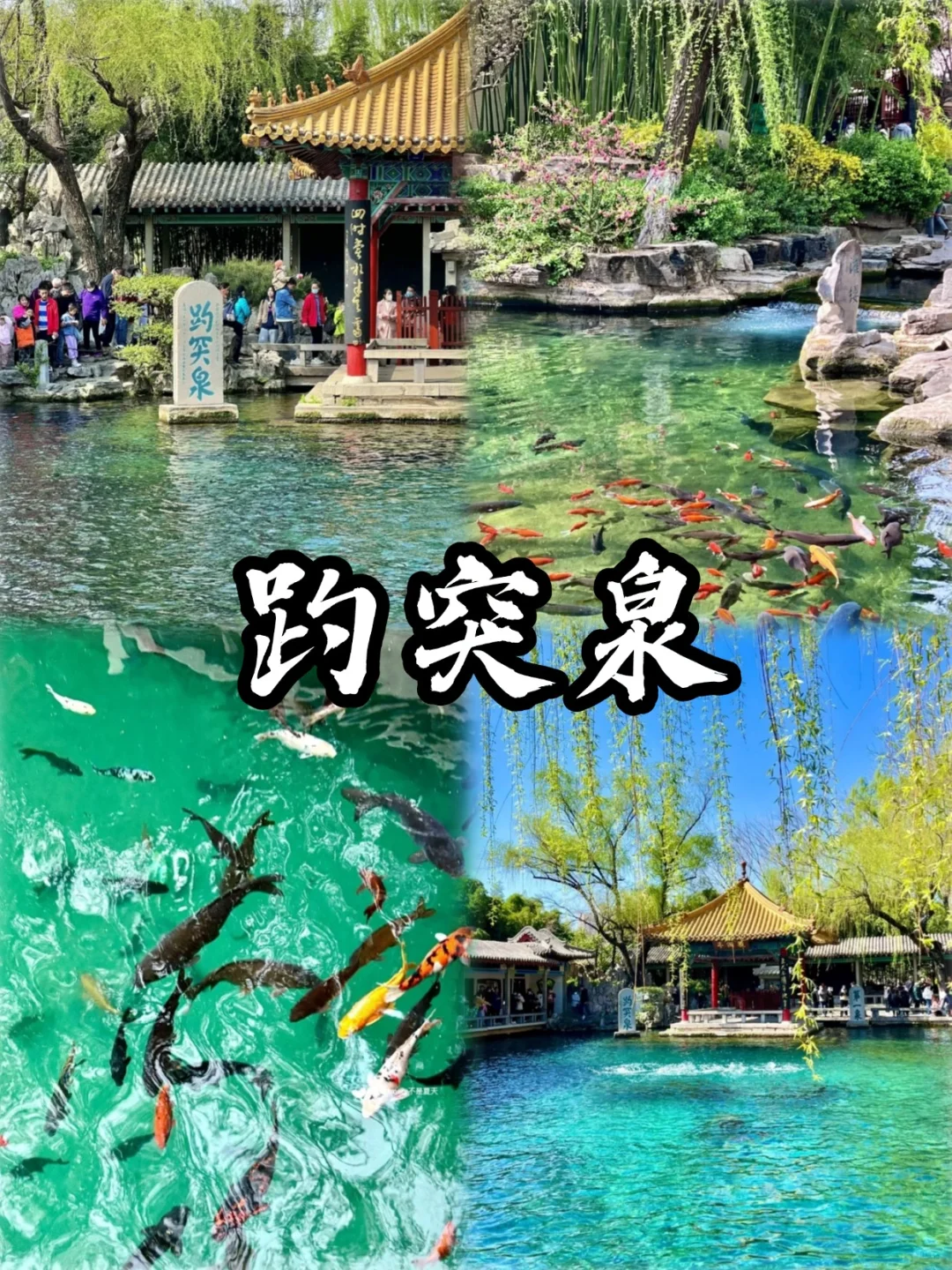 泰山-曲阜-济南 4天人均不到1k的旅游攻略