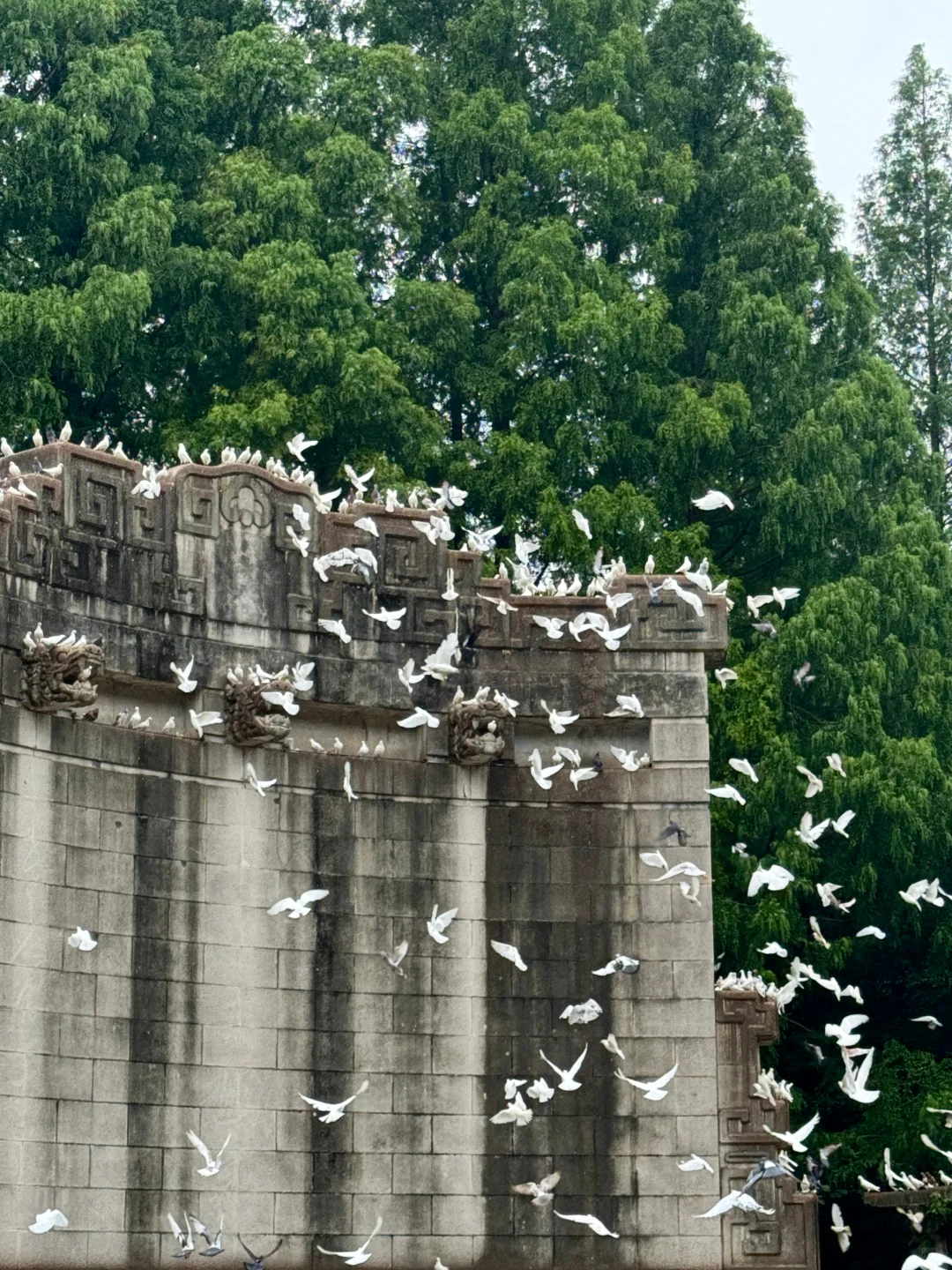 为了这1️⃣4️⃣张图,我特意来了趟南京