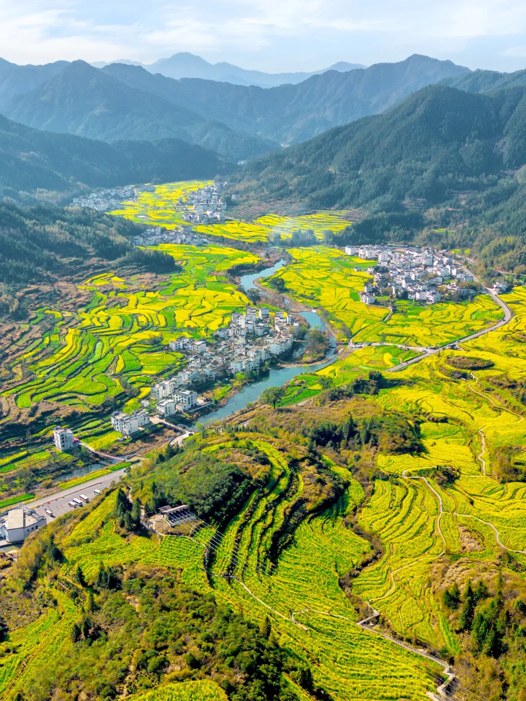 “后来我逢人便说三月的婺源有多浪漫🌼～”