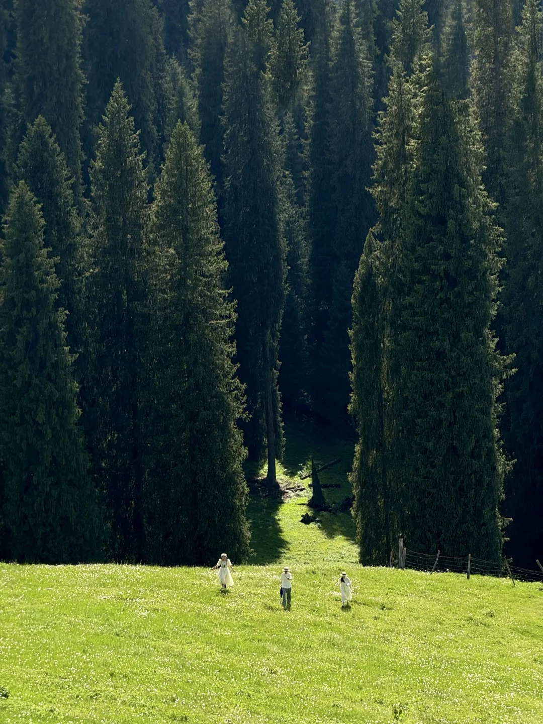 五月的新疆，每一帧都是童话世界！！！