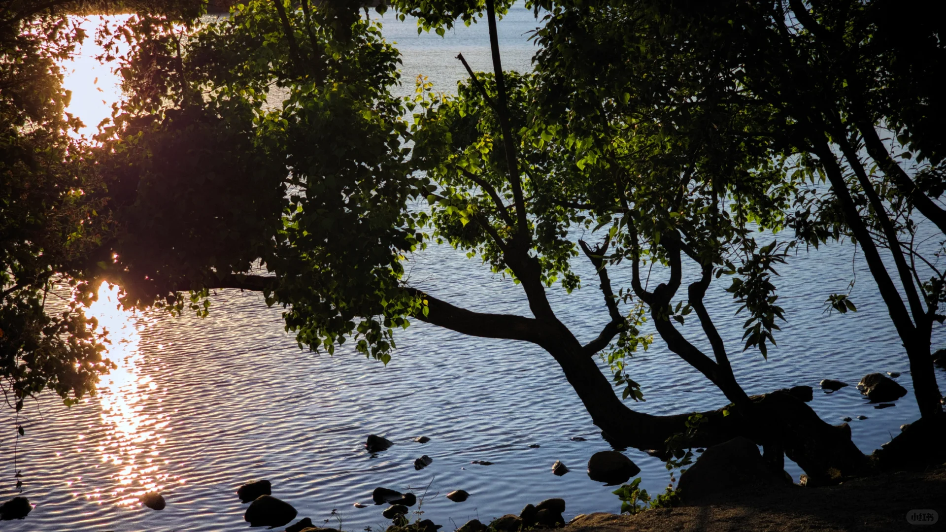 可能是最适合四月的小众旅游城市