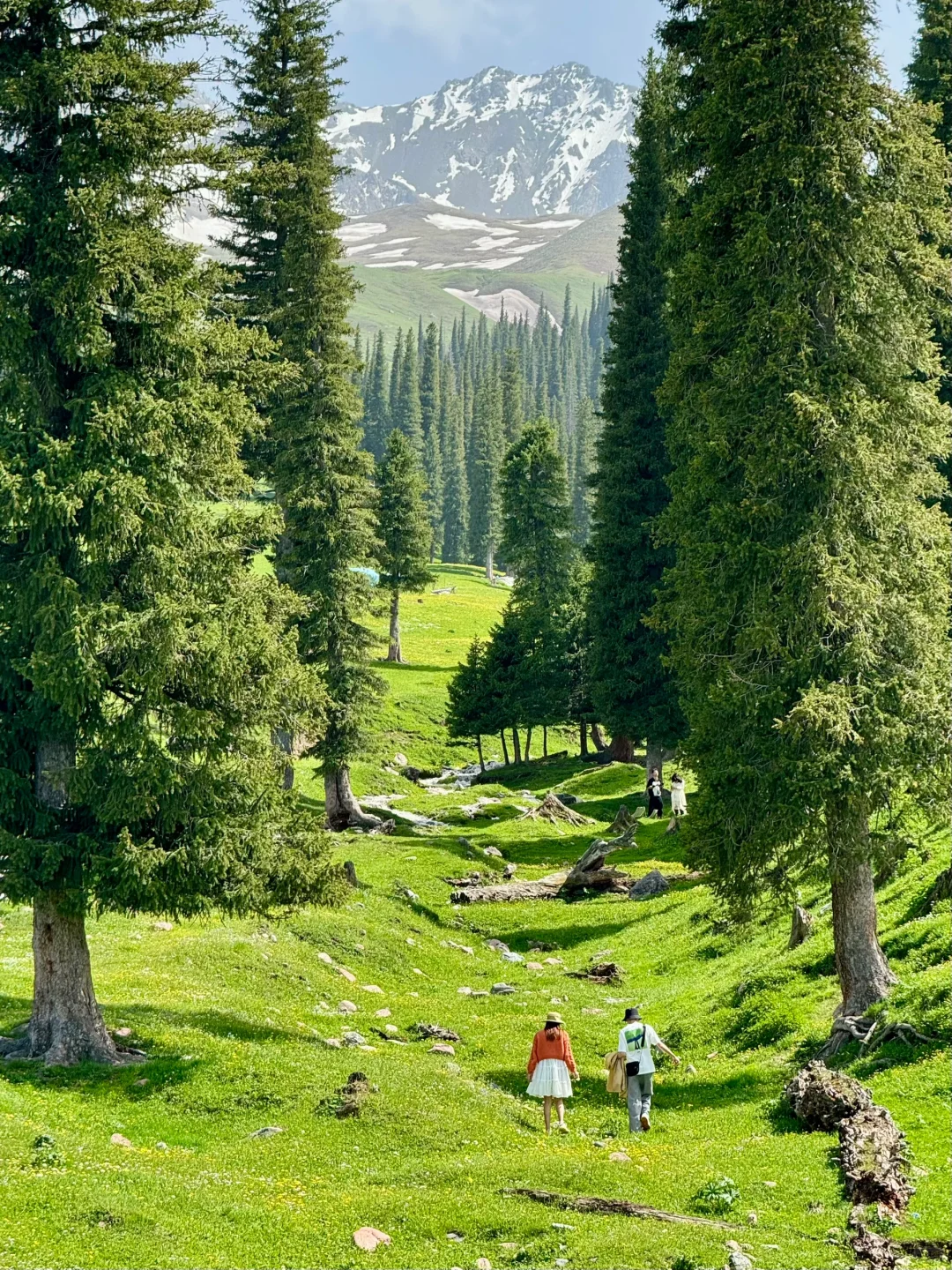 五月的新疆，每一帧都是童话世界！！！