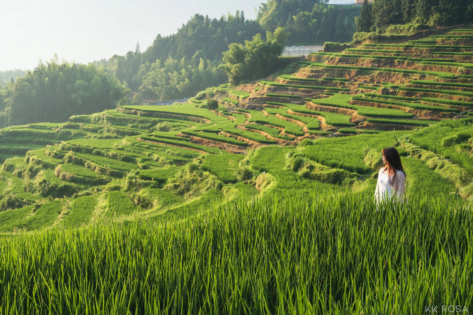 📍丽水|江南蕞后的秘境4天3晚保姆级攻略‼️