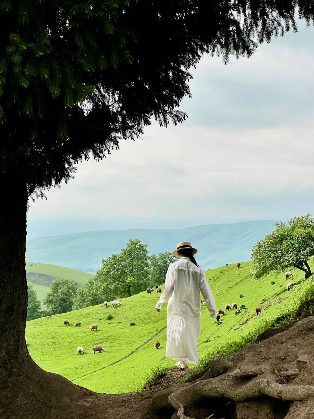 五月的新疆，每一帧都是童话世界！！！