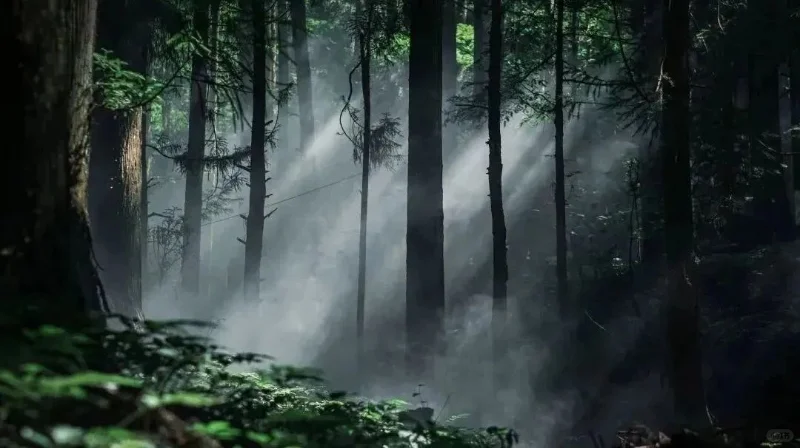 女神福利就位，解锁景区“价”期（三）