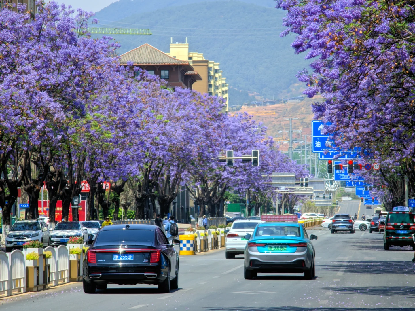 可能是最适合四月的小众旅游城市