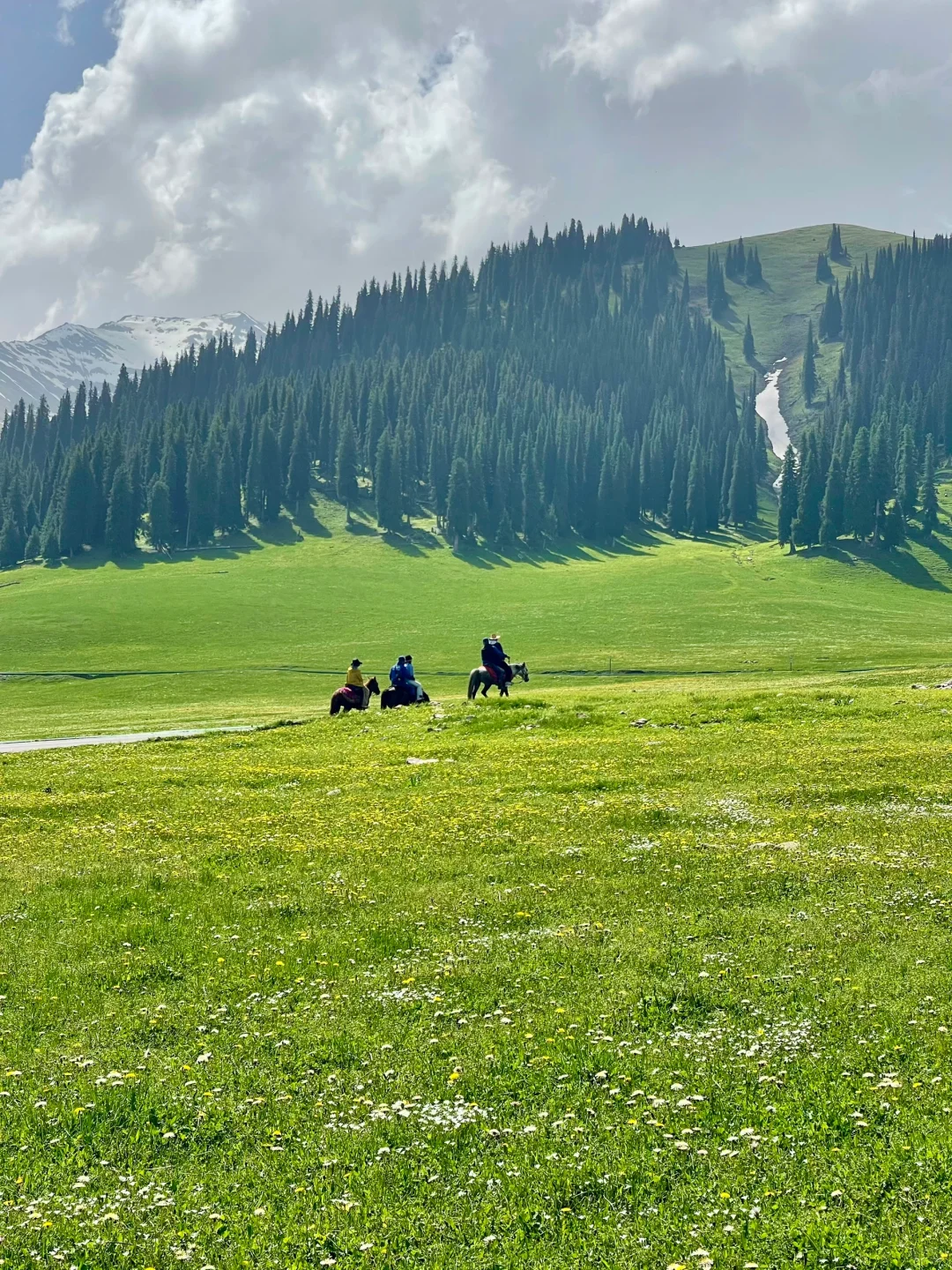 五月的新疆，每一帧都是童话世界！！！