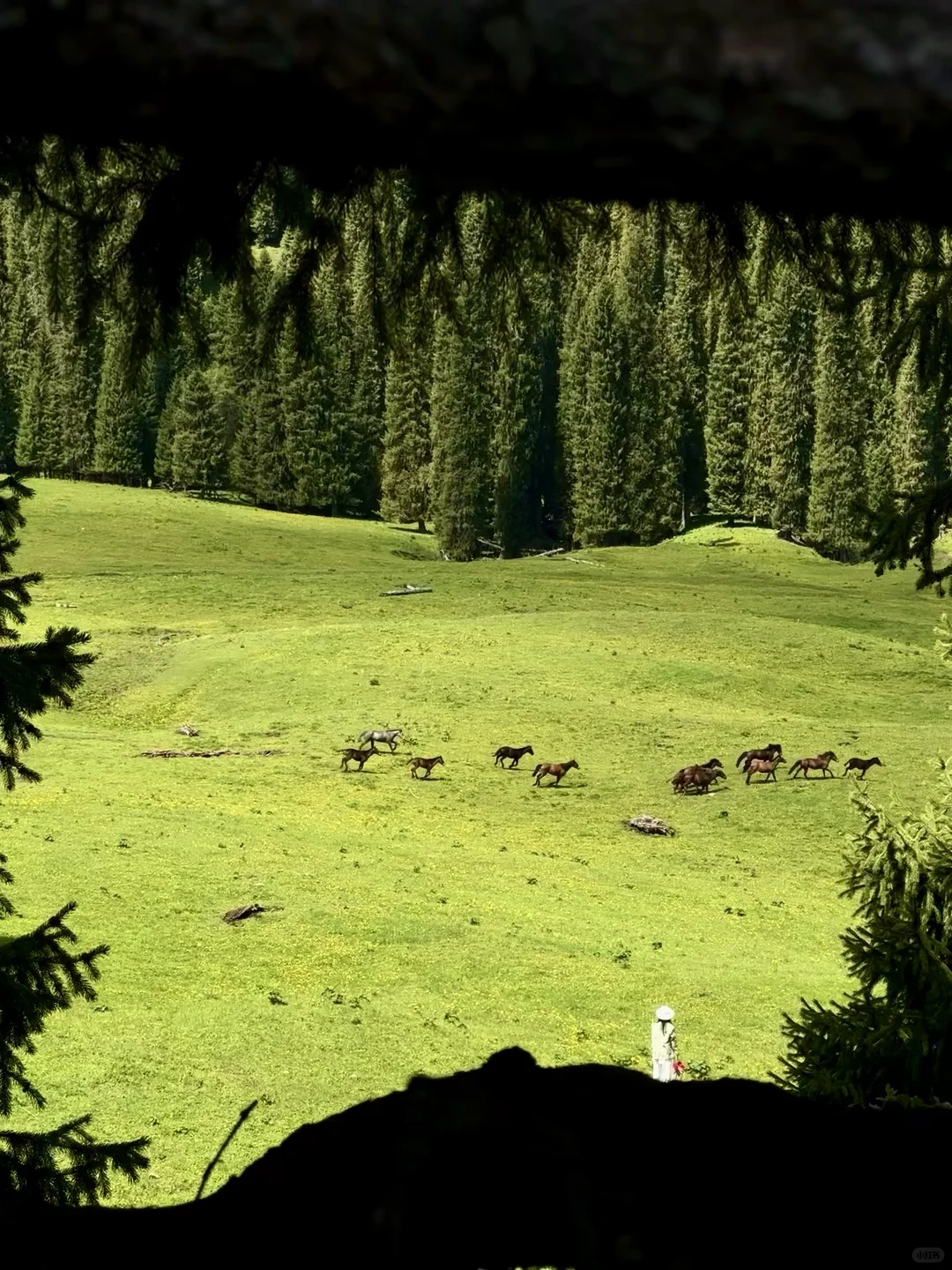 五月的新疆，每一帧都是童话世界！！！