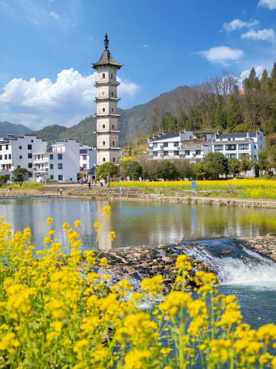 “后来我逢人便说三月的婺源有多浪漫🌼～”