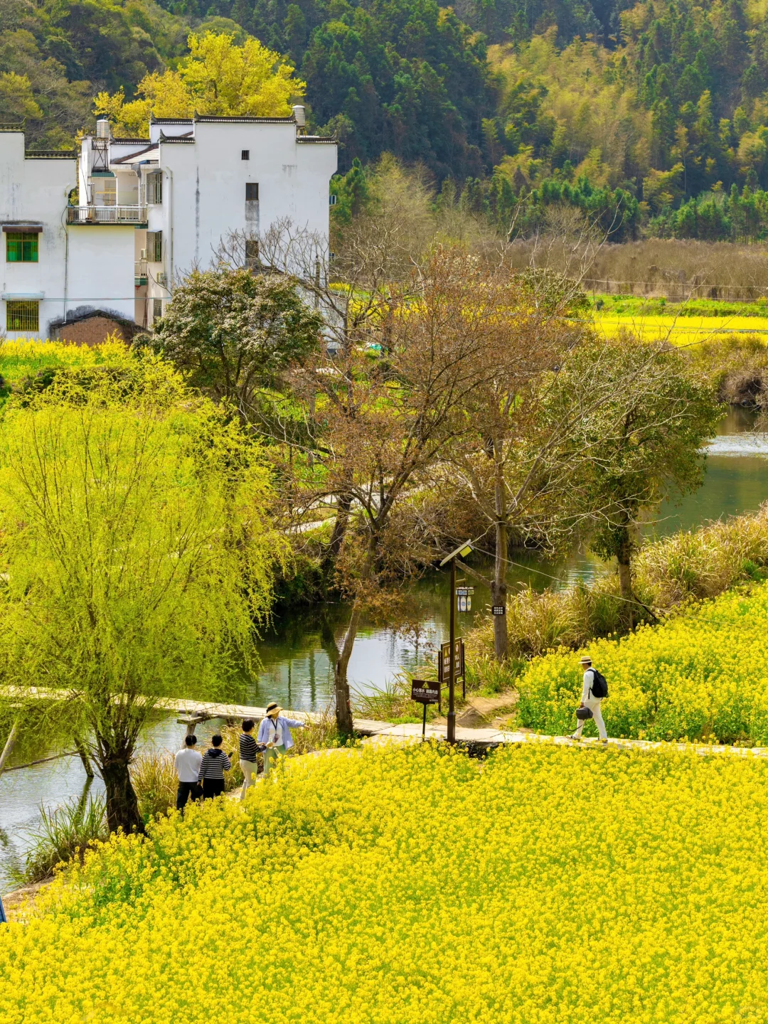 “后来我逢人便说三月的婺源有多浪漫🌼～”