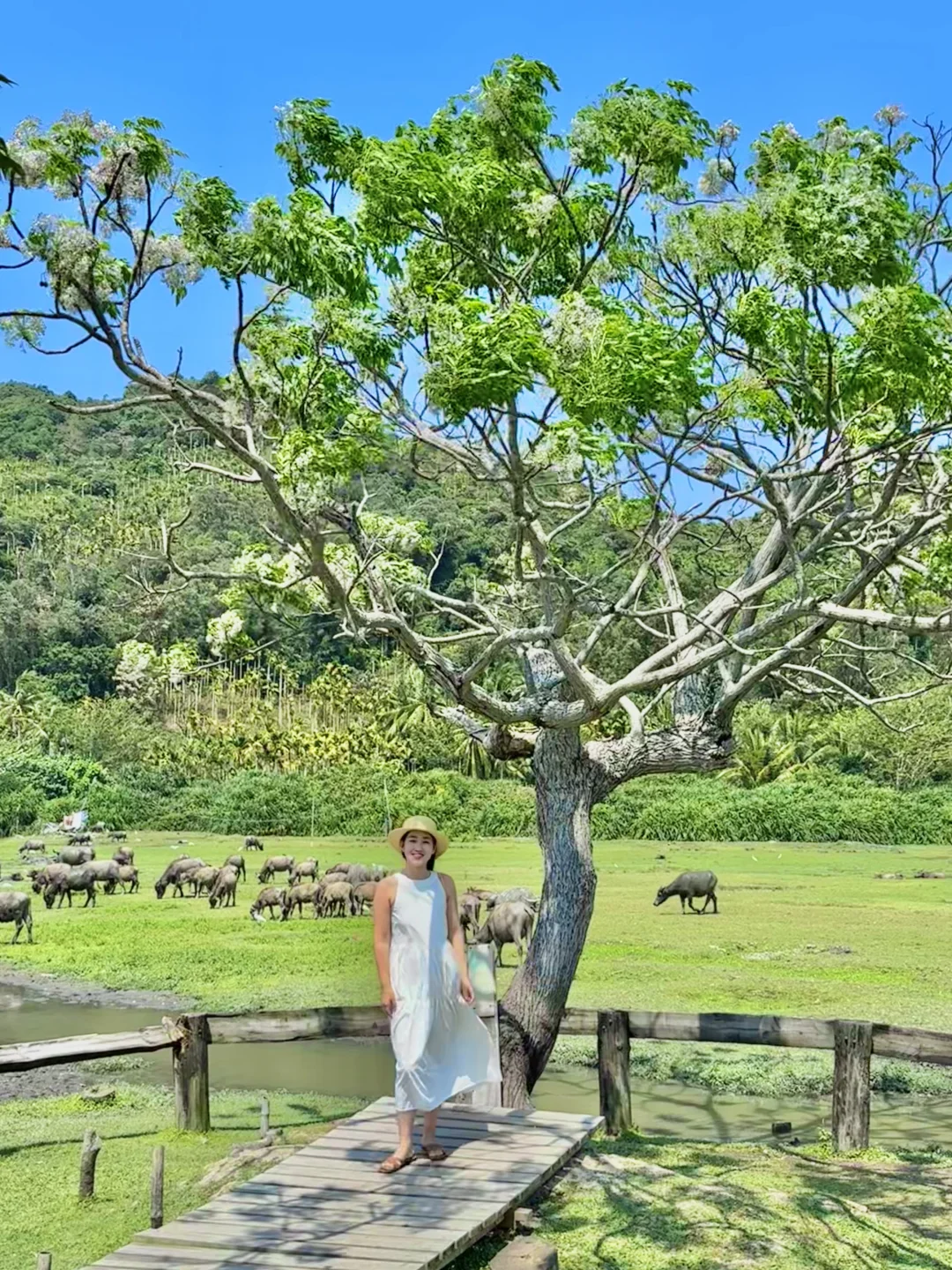 Live实况！淡季的万宁简直是人间理想！🌊